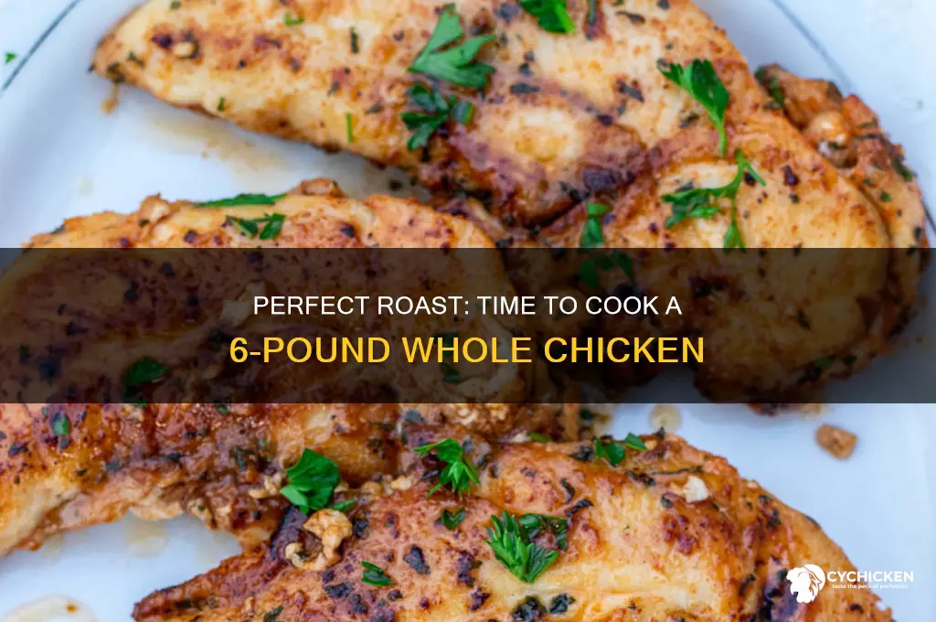 how long does 6 lbs whole chicken take to roast