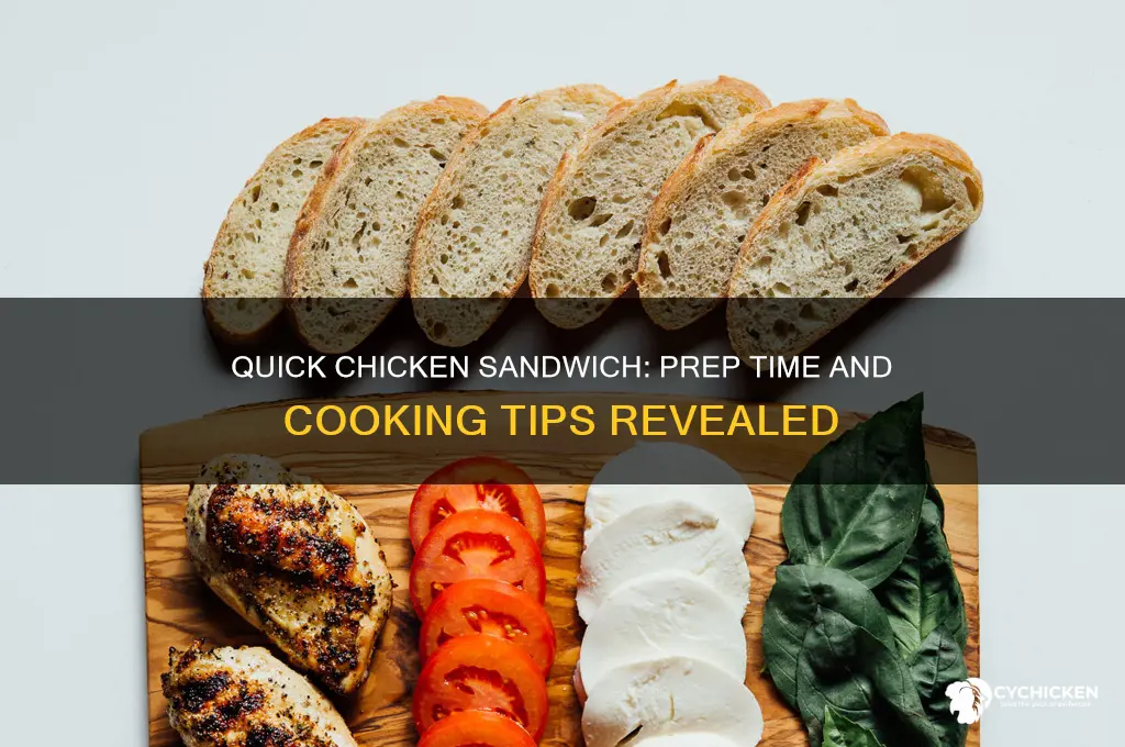 how long does a chicken sandwich take to make