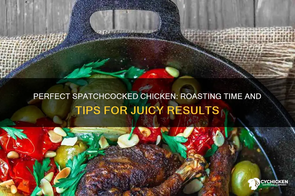 how long does a chicken take to roast spatchocked