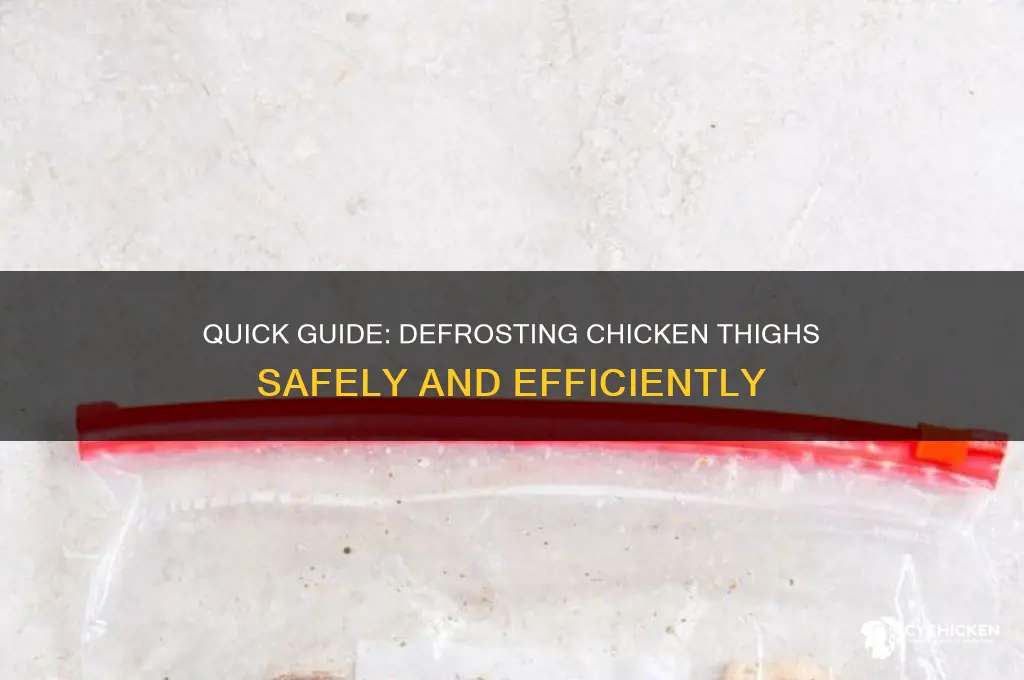 how long does a chicken thigh take to defrost