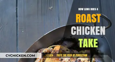 Perfect Roast Chicken Timing: How Long to Cook for Juicy Results