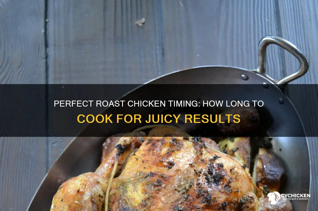 how long does a roast chicken take