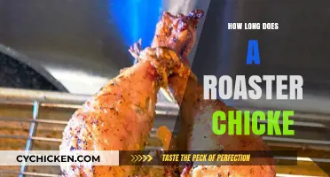 Perfect Roast Chicken Timing: How Long for Juicy, Golden Results?