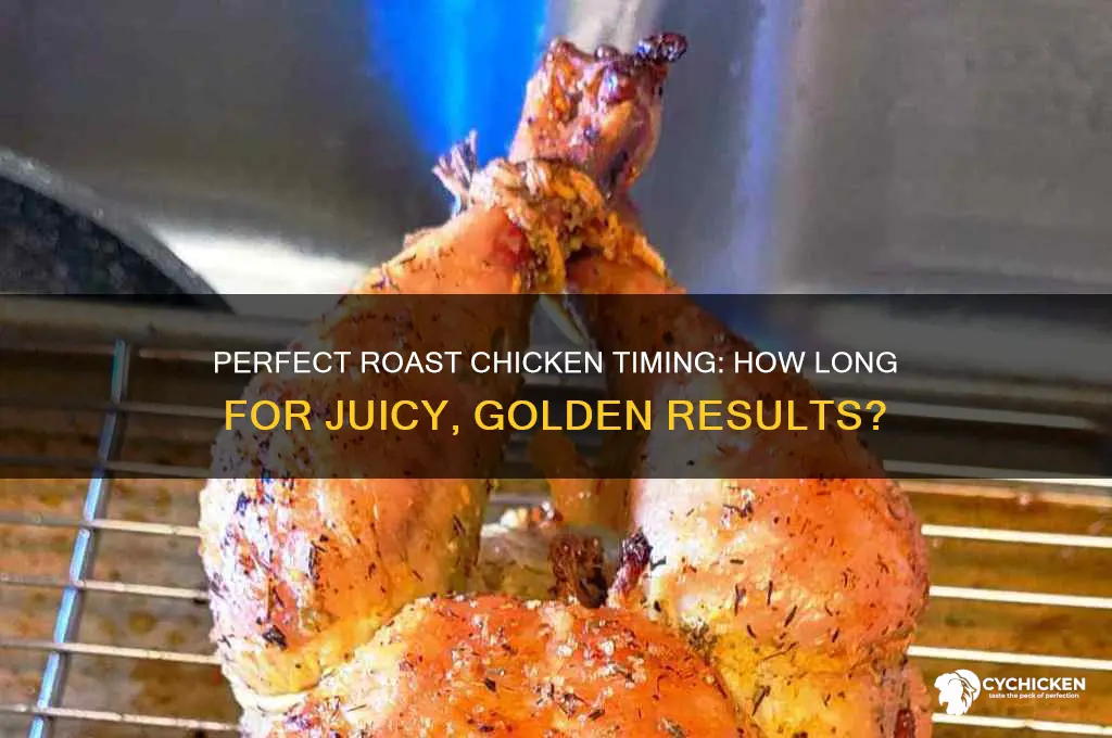 how long does a roaster chicke