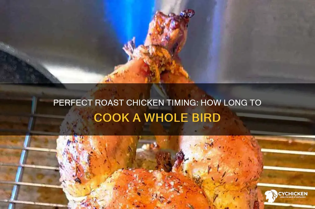 how long does a whole roast chicken take