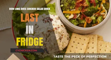 Freshness Timeline: How Long Does Chicken Salad Chick Stay Good in the Fridge?