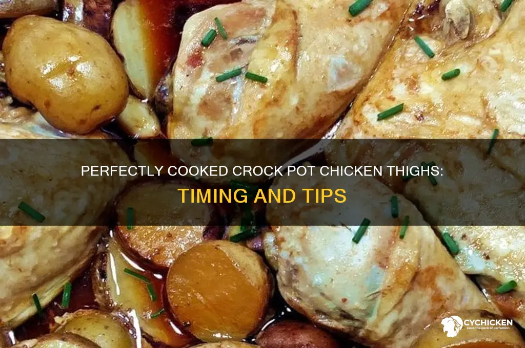 how long does chicken thighs cook in crock pot