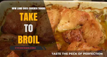 Perfectly Broiled Chicken Thighs: Timing Tips for Juicy Results