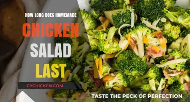 Freshness Countdown: How Long Does Homemade Chicken Salad Last?