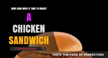 Chicken Sandwich Digestion Time: How Long Does It Take?