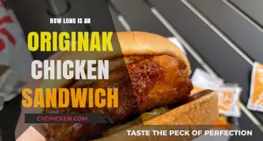 Original Chicken Sandwich Size: How Long Does It Measure?