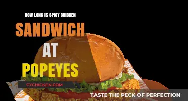 Popeyes Spicy Chicken Sandwich: Unveiling Its Size and Satisfaction