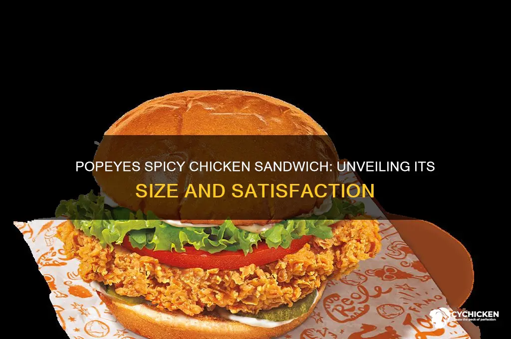 how long is spicy chicken sandwich at popeyes