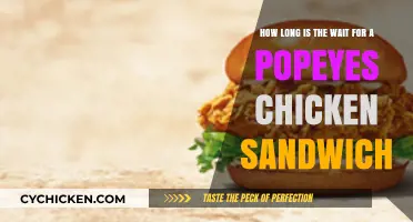 Popeyes Chicken Sandwich Wait Time: How Long is the Craze?