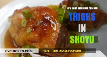 Perfect Shoyu Chicken Thighs: Ideal Marinating Time for Juicy Flavor