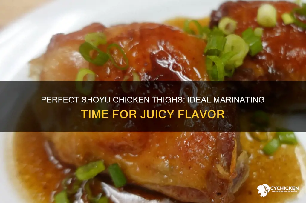how long marinate chicken thighs in shoyu