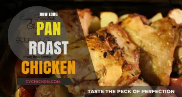 Perfect Pan-Roasted Chicken: Timing Tips for Juicy, Golden Results