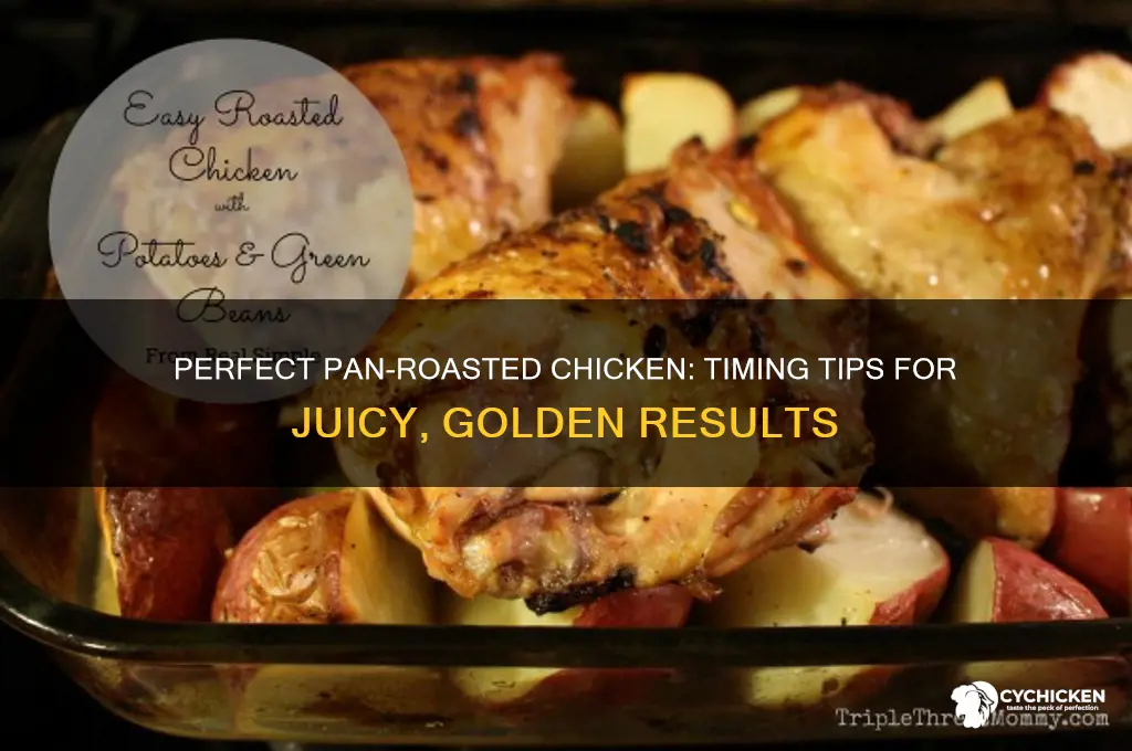 how long pan roast chicken