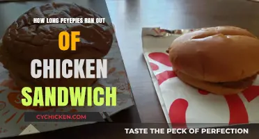 Popeyes Chicken Sandwich Shortage: How Long Did the Craze Last?