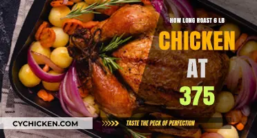 Perfect Roast: 6 lb Chicken at 375°F Timing Guide