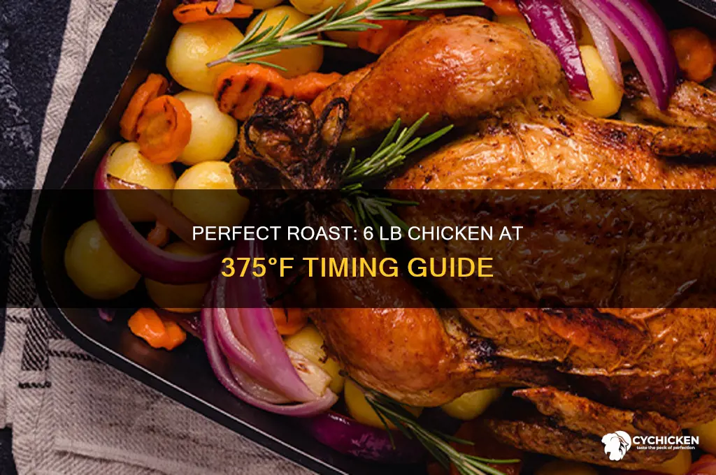how long roast 6 lb chicken at 375