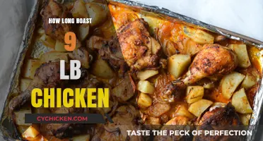 Perfect Roast: Timing for a 9-Pound Chicken Explained