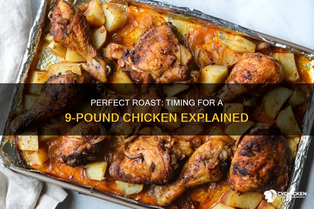 how long roast 9 lb chicken