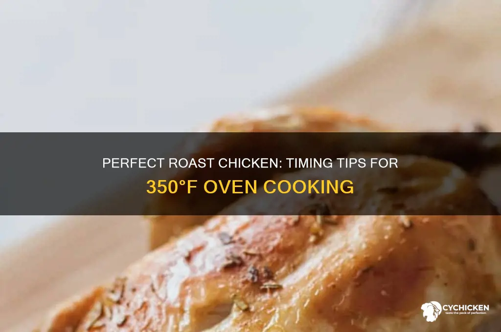 how long roast chicken at 350