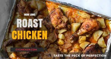 Perfect Roast Chicken: Timing Tips for Juicy, Golden Results