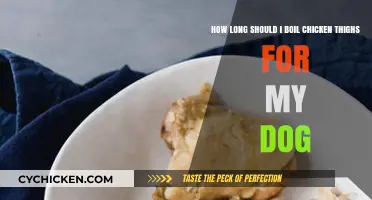 Perfectly Boiled Chicken Thighs: Safe Cooking Time for Your Dog