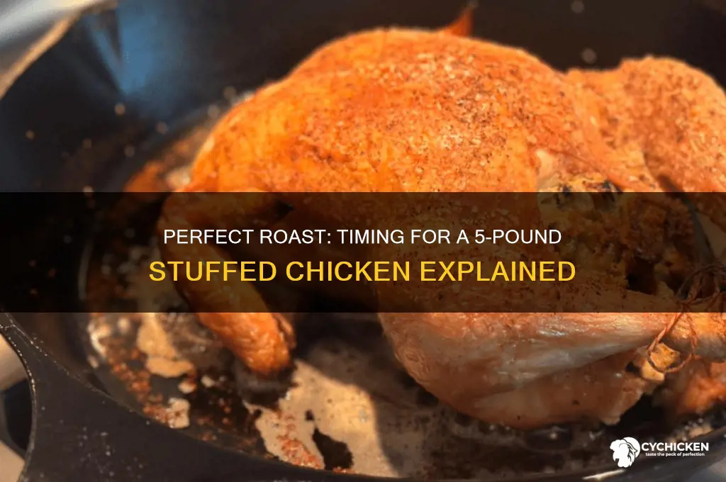 how long should i roast a 5 lb stuffed chicken