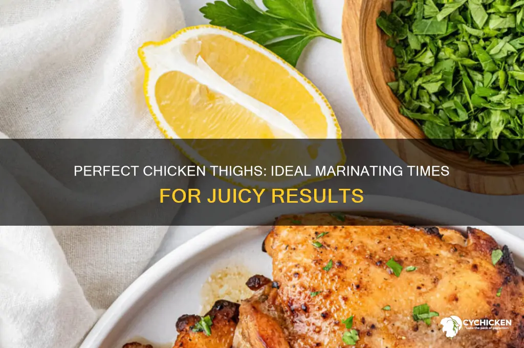 how long should you marinate boneless skinless chicken thighs