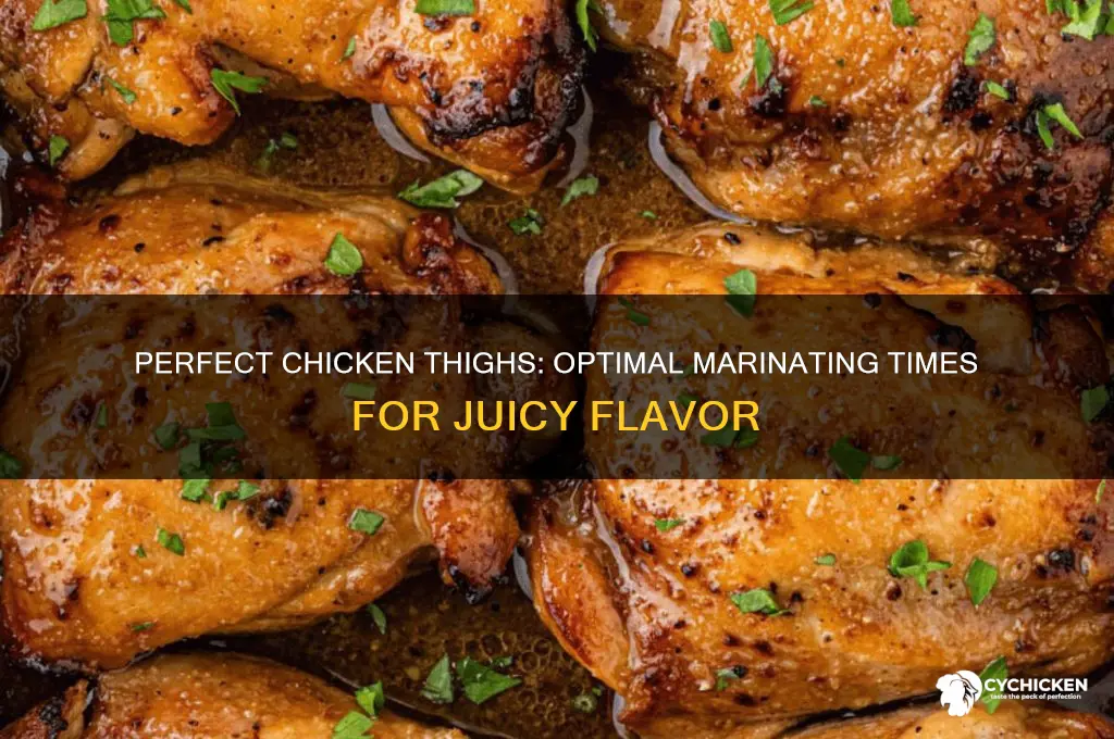 how long should you marinate chicken thighs