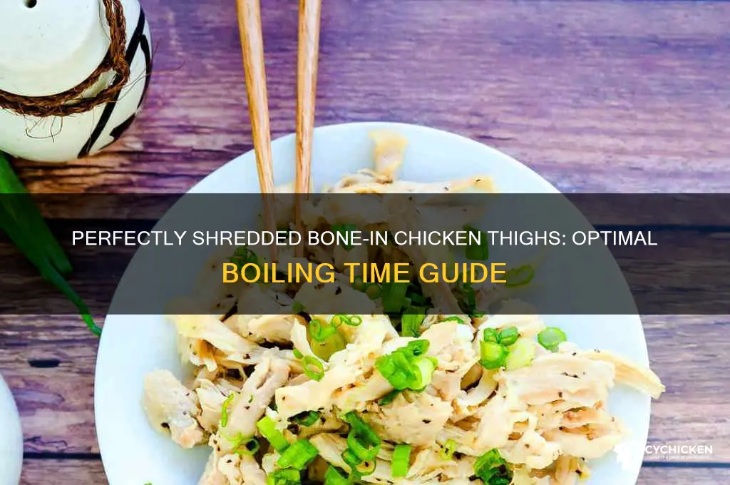 how long to boil bone in chicken thighs to shred