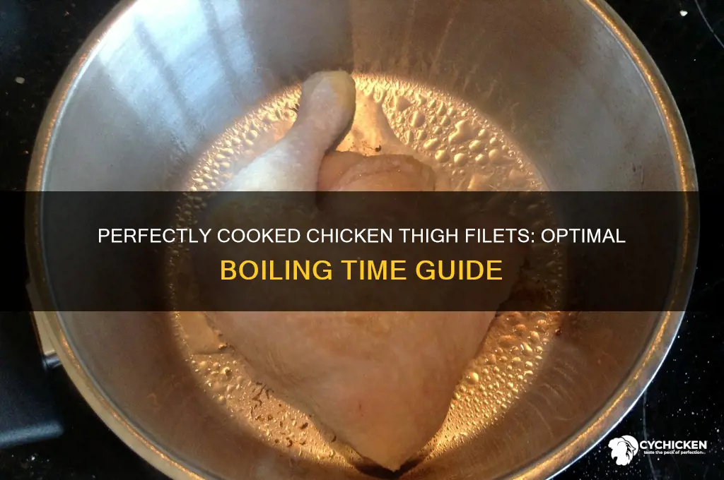 how long to boil chicken thigh filets