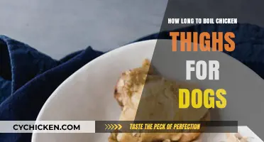 Boiling Chicken Thighs for Dogs: Safe Cooking Time Guide