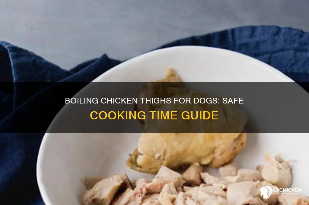 how long to boil chicken thighs for dogs