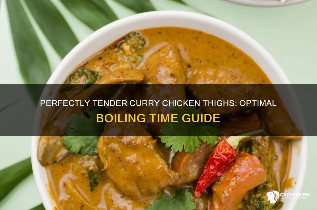how long to boil chicken thighs in curry