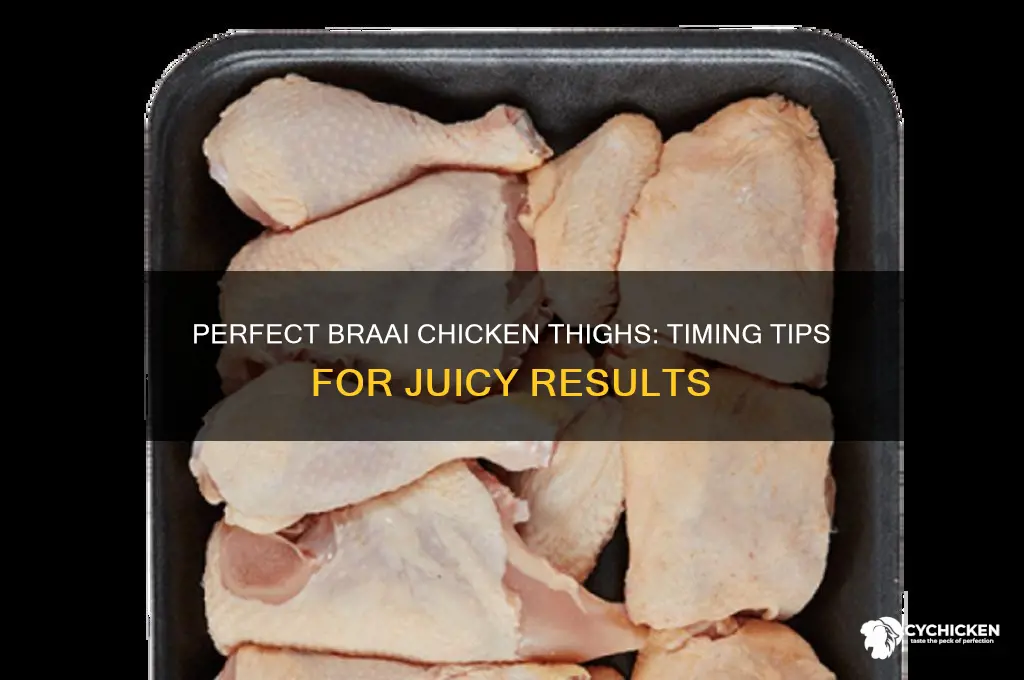 how long to braai chicken thighs