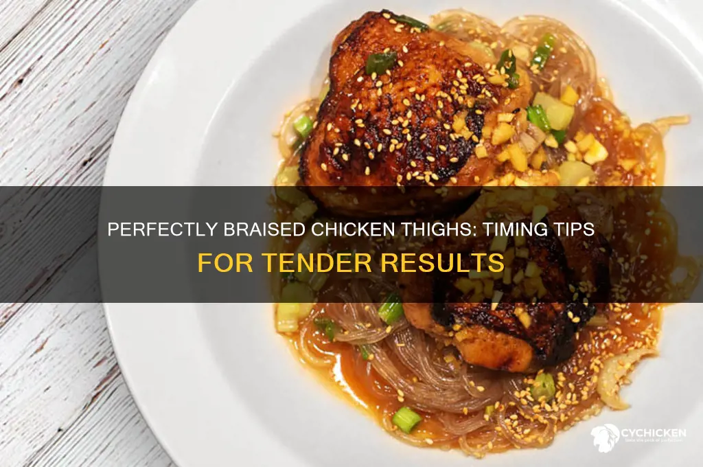 how long to braise chicken thigh