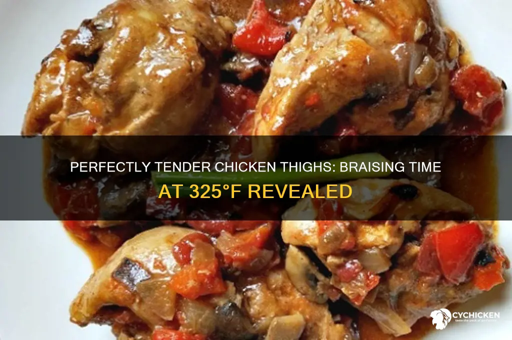how long to braise chicken thighs at 325
