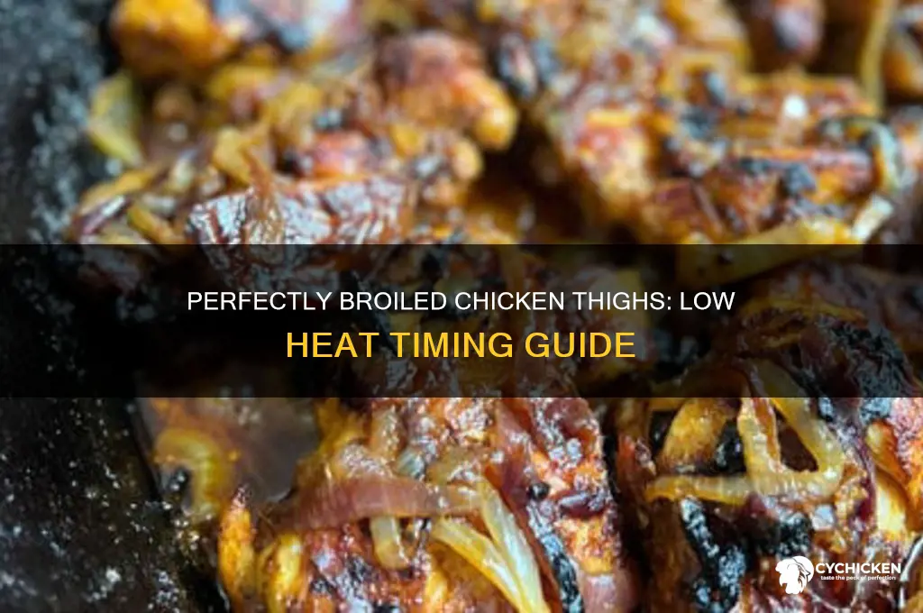 how long to broil chicken thighs on low