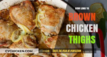 Perfectly Browning Chicken Thighs: Time, Tips, and Techniques Revealed