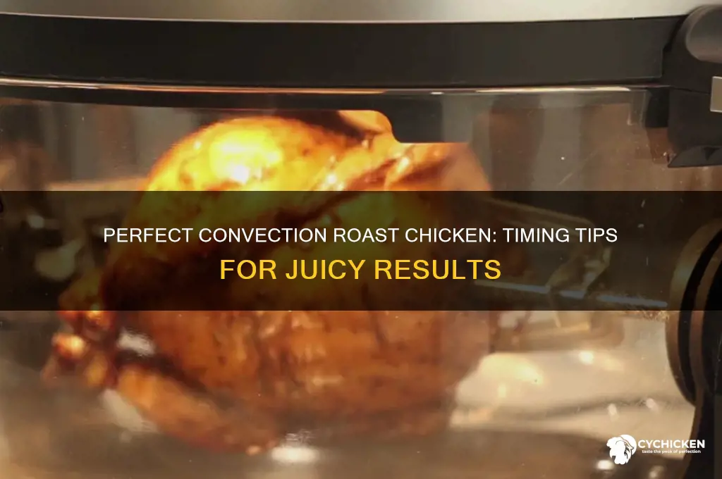 how long to convection roast a whole chicken