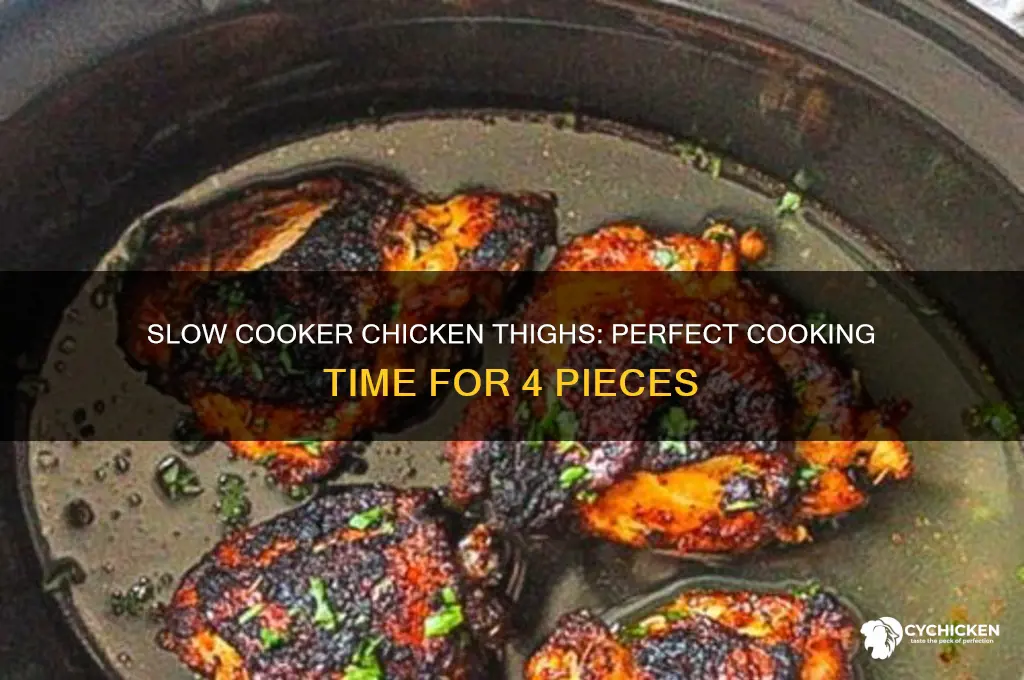 how long to cook 4 chicken thighs in slow cooker