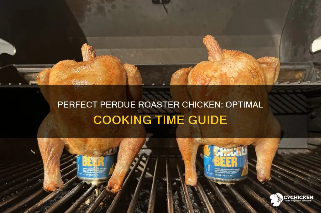 how long to cook a perdue roaster chicken