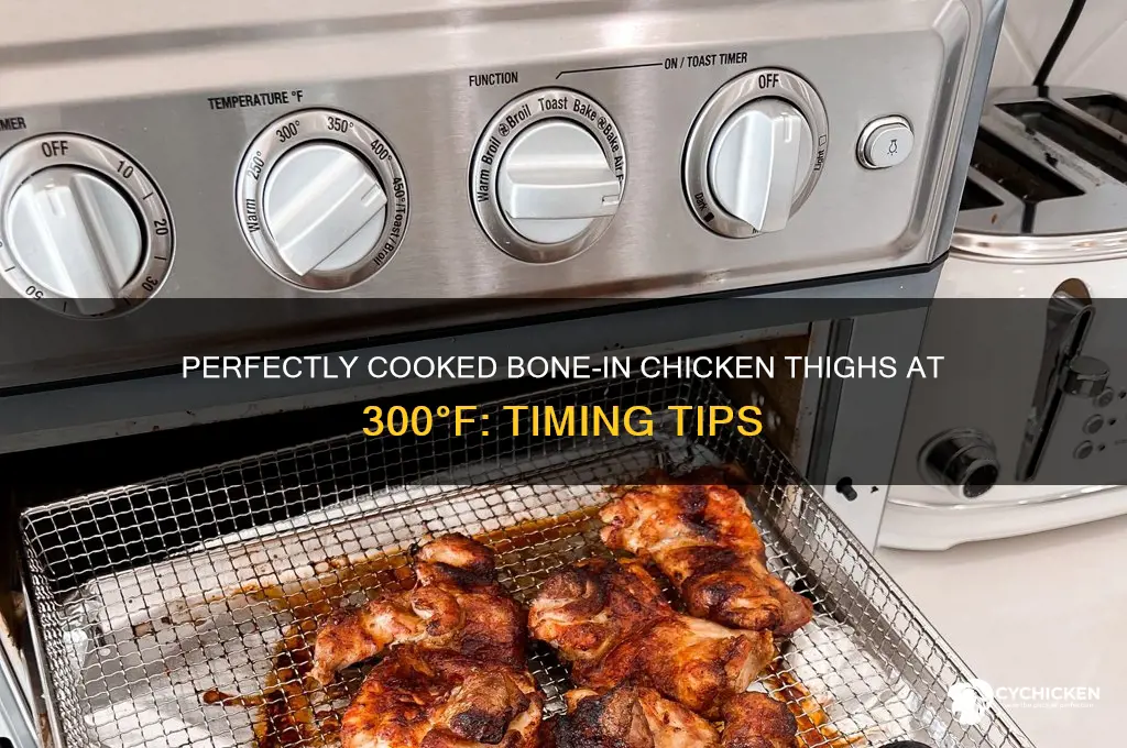 how long to cook bone in chicken thighs at 300