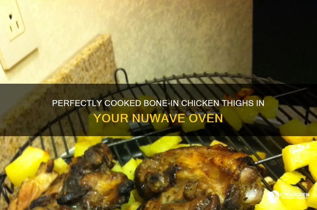 how long to cook bone in chicken thighs in nuwave