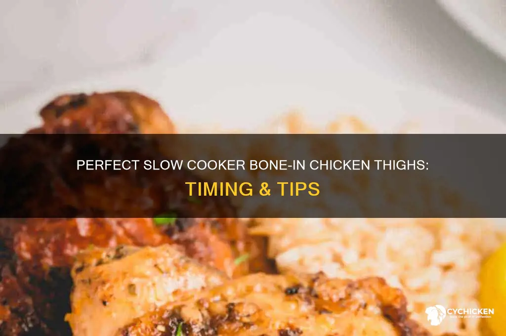 how long to cook bone-in chicken thighs in slow cooker