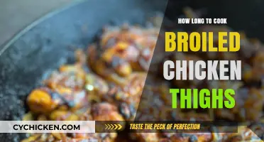Perfectly Broiled Chicken Thighs: Timing Tips for Juicy Results